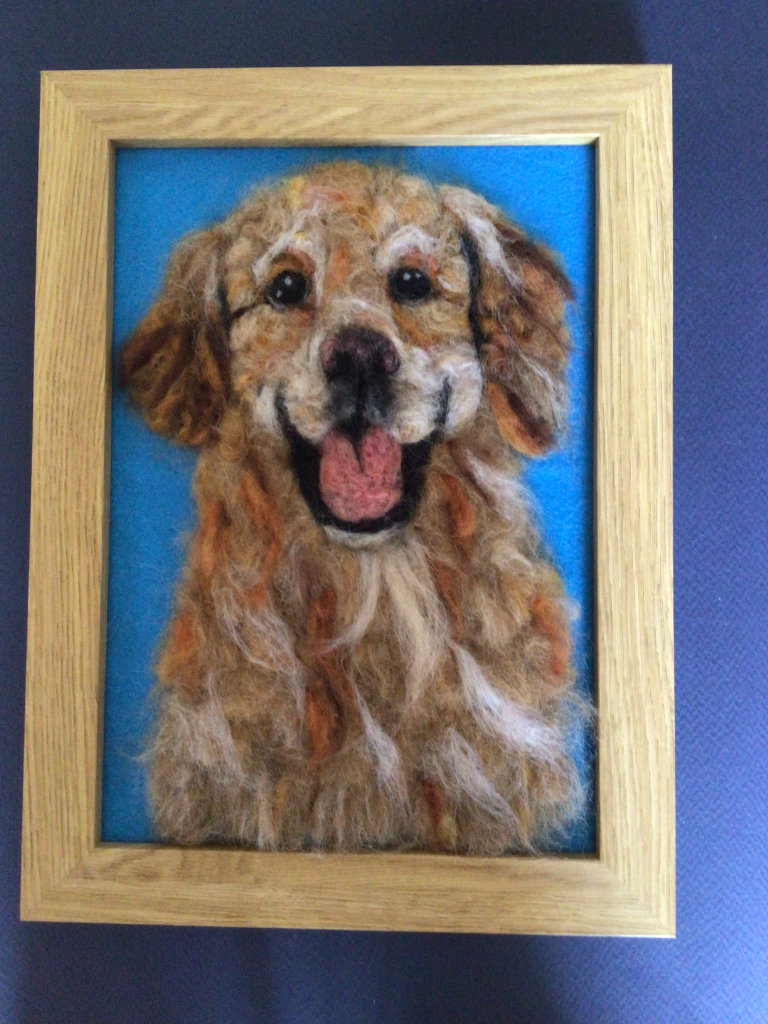 Labrador picture