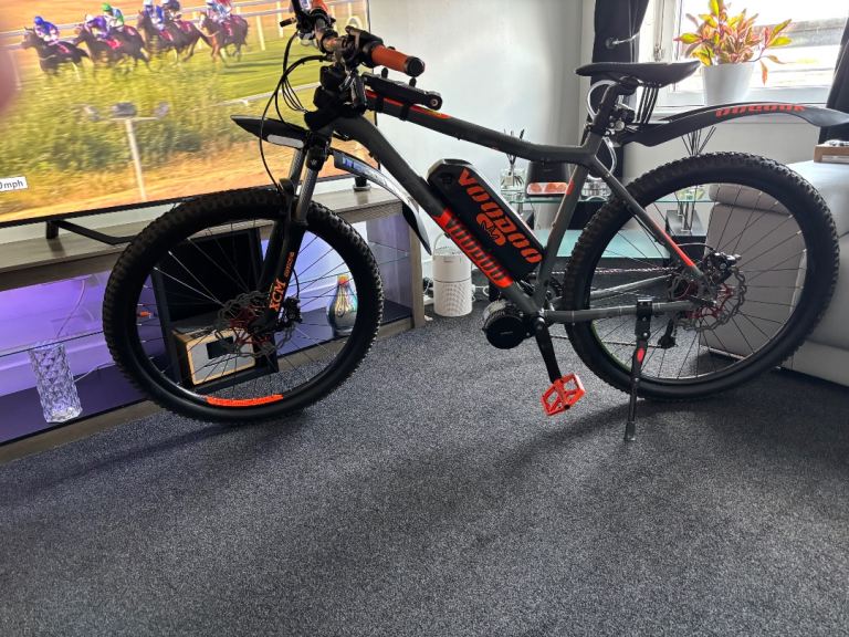 Electric bike