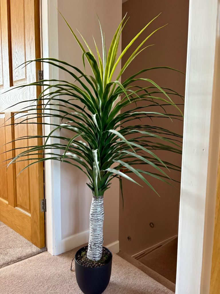 Artificial Dracaena Plant in Black Pot – Good Condition