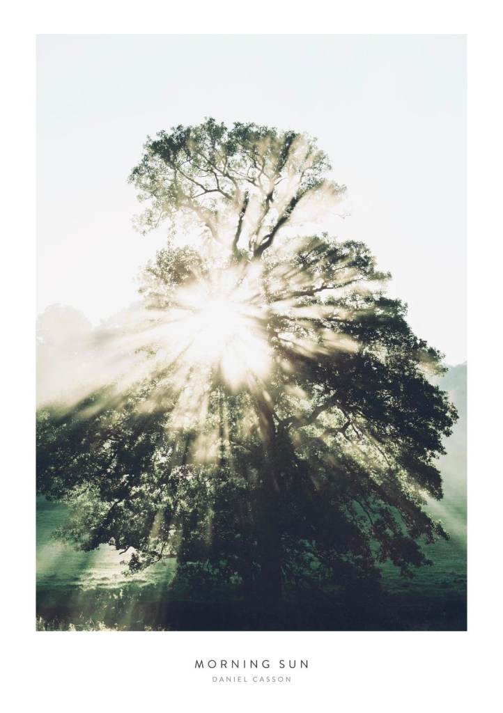 Morning sun poster with frame