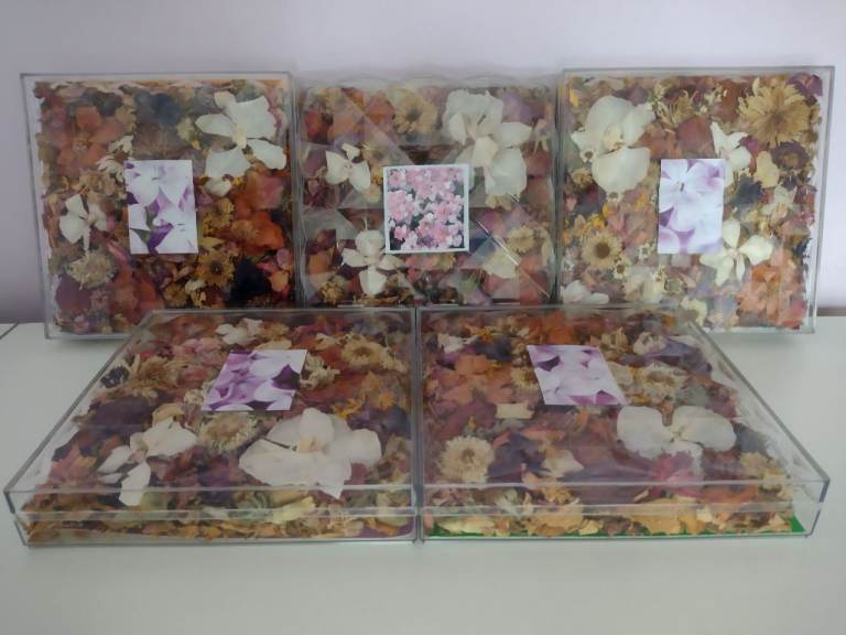 5 Beautiful Bespoke Flower Displays, in Clear 8.5 inch Boxes. See the photos & details.