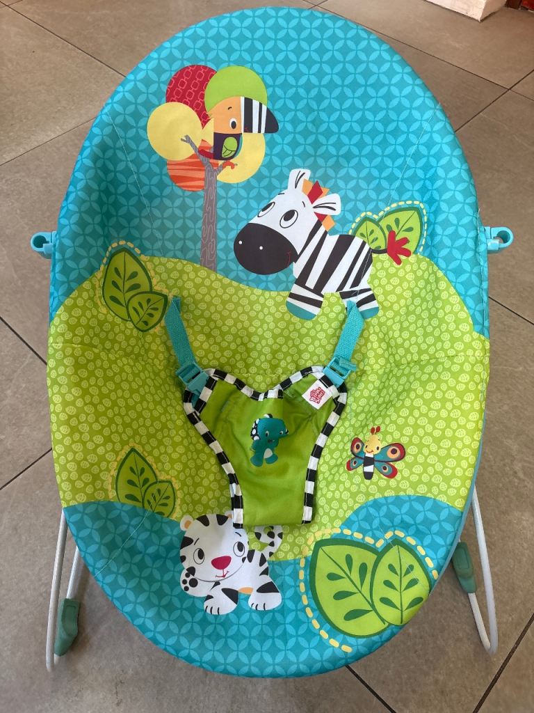 Bright Stars Baby bouncer. Free