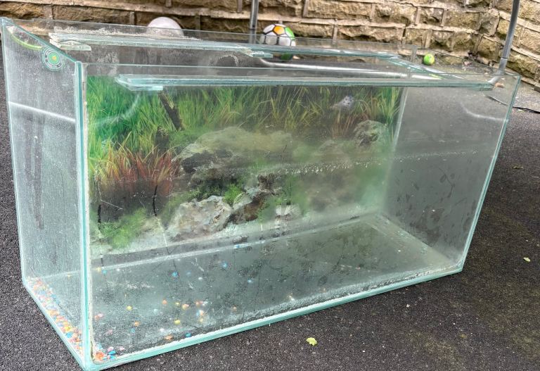 Fish tank 