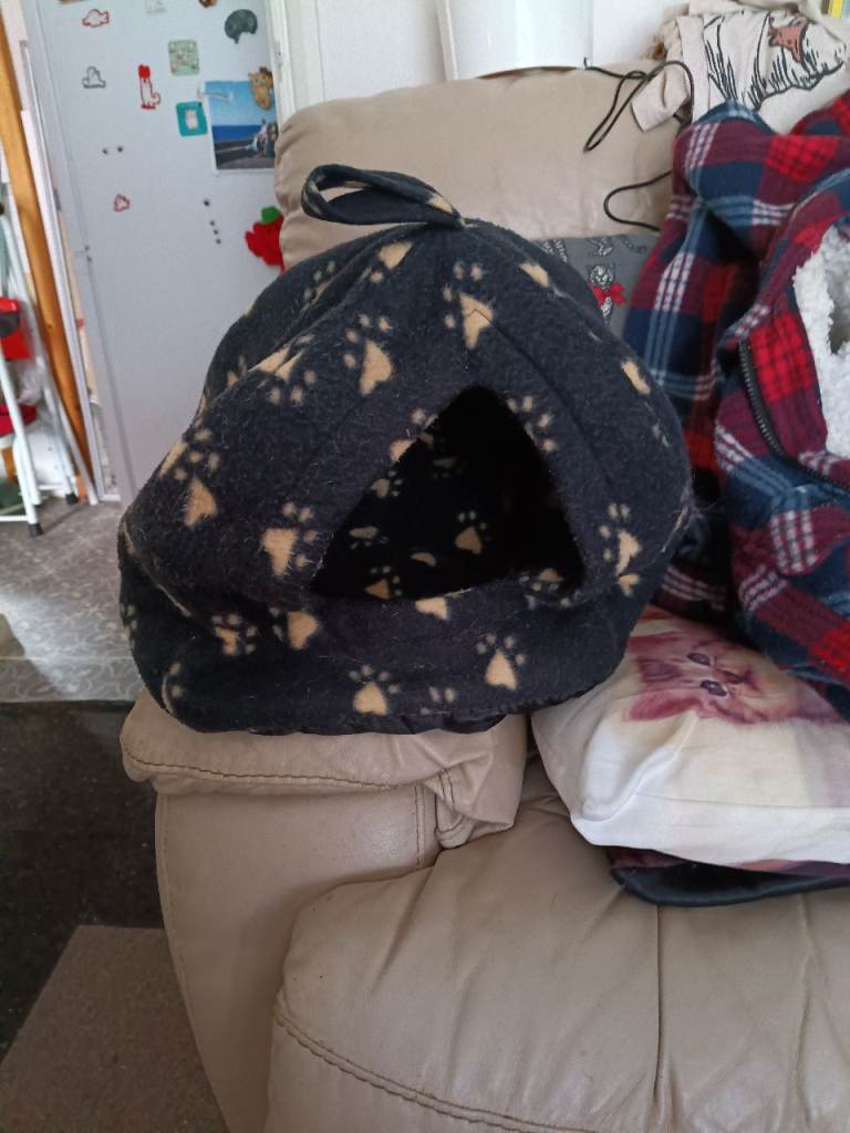 Washed cat iglu bed 