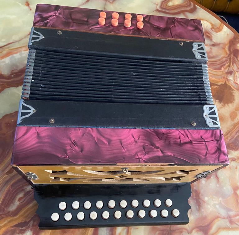 Melodion. Accordion. 