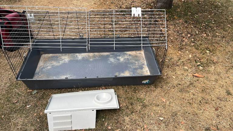 Guinea pig cage