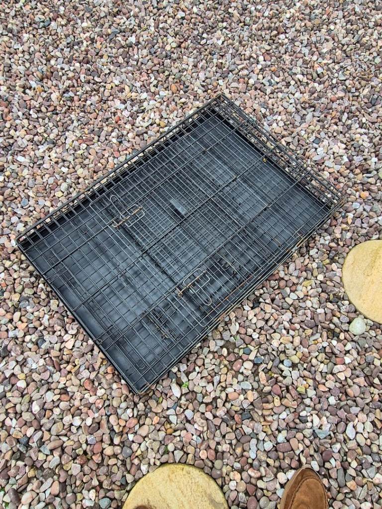Large dog cage 