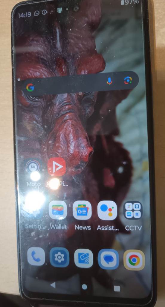 Moto G60s Silver