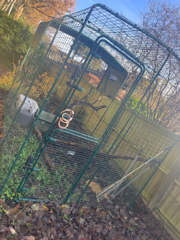 Spacious Catio for Sale 
