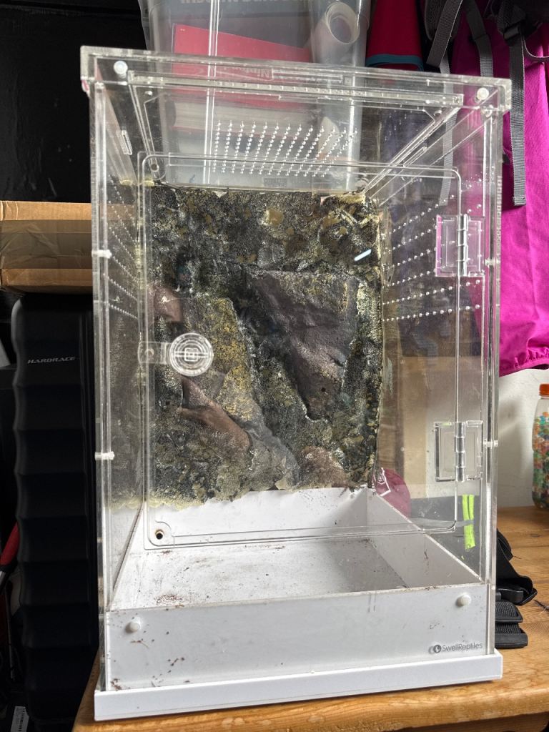 Terrarium 