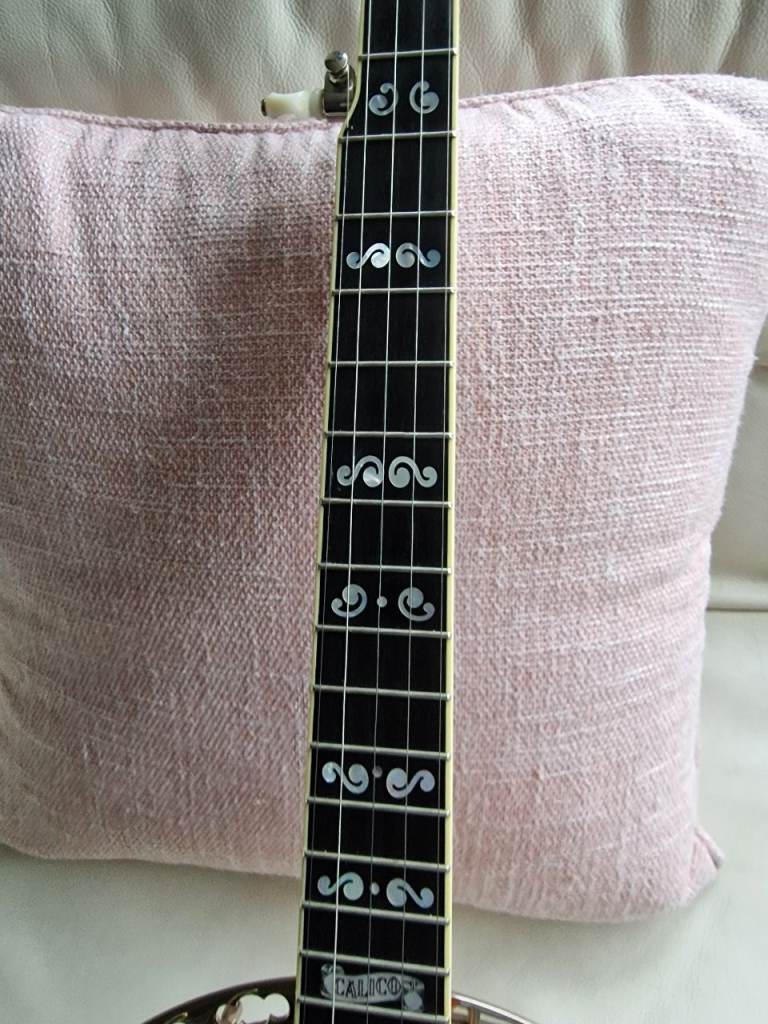 Deering Calico in stunning Condition