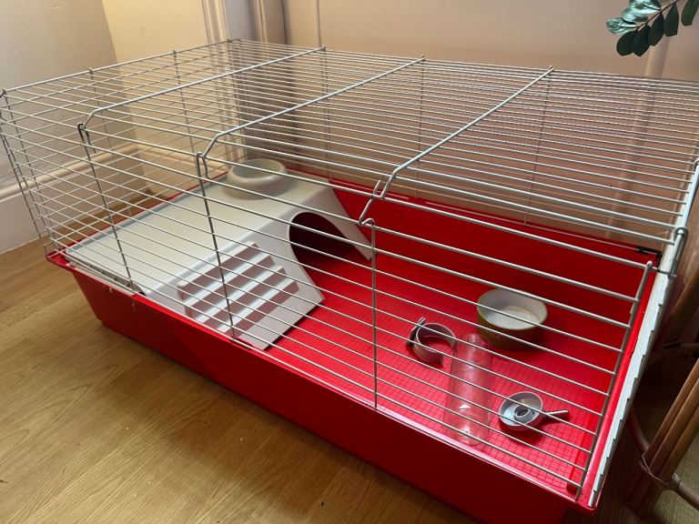 Indoor Guinea Pig cage with Accessories