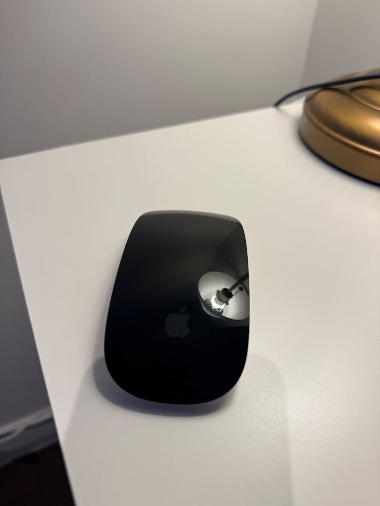 Apple Magic Mouse 