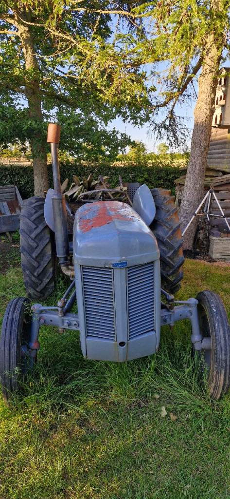 Ferguson TEF20 Tractor Starts & Runs