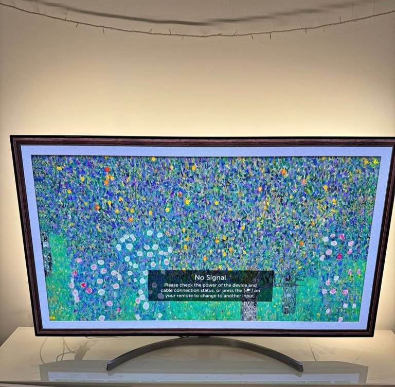 OLED 65Inch 