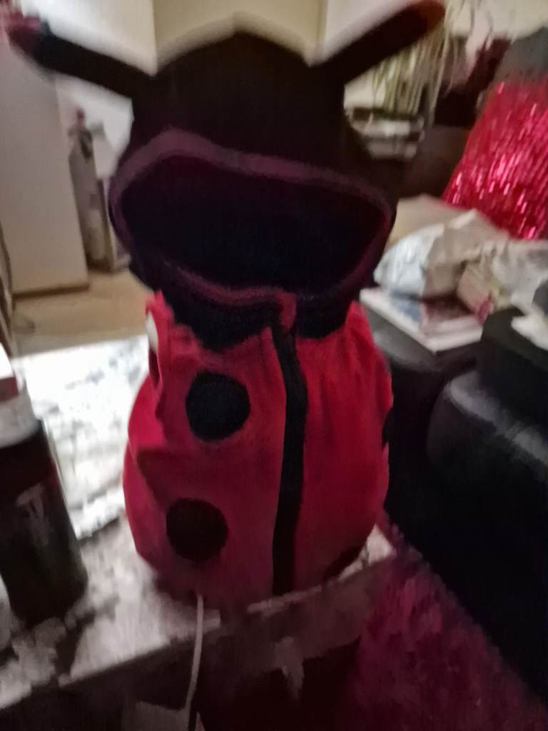 Dots ladybug jacket for baby's 