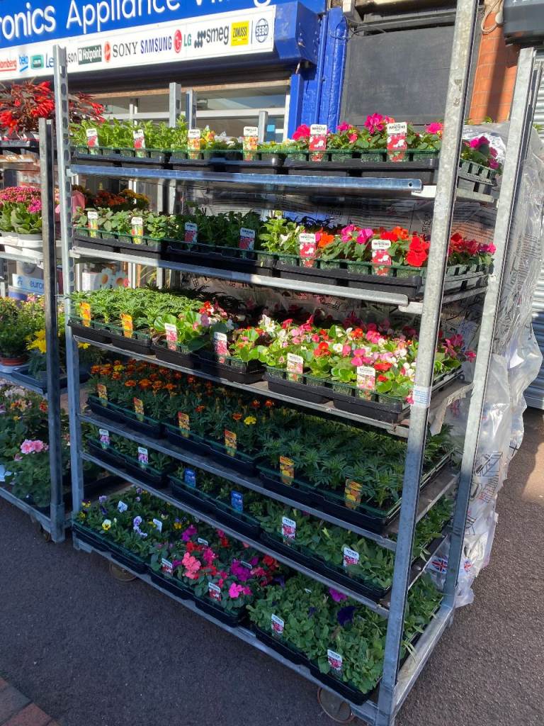 Potted Plants