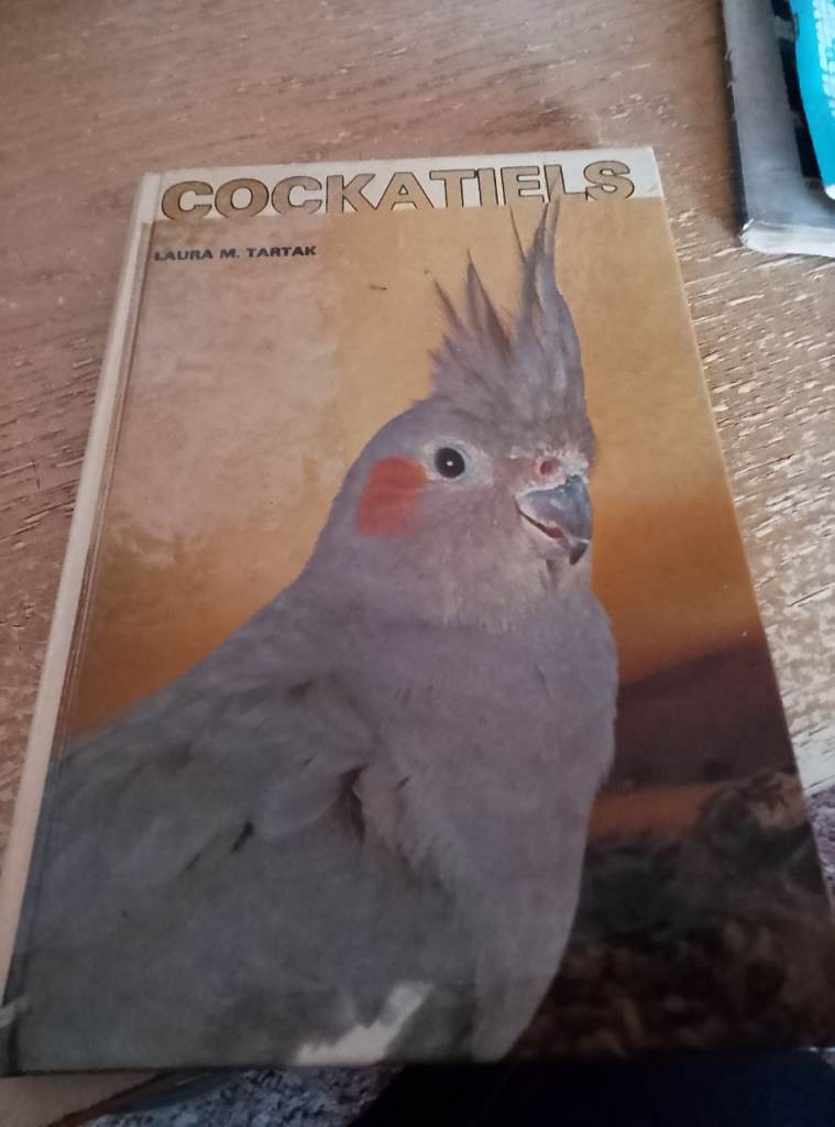 Cockatiels by Laura M Tartak 