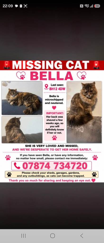 Missing Bella 