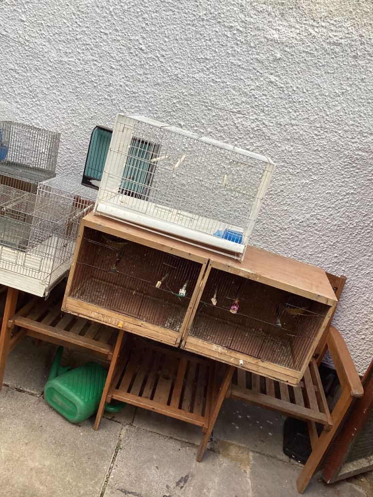 Bird cages and accessories