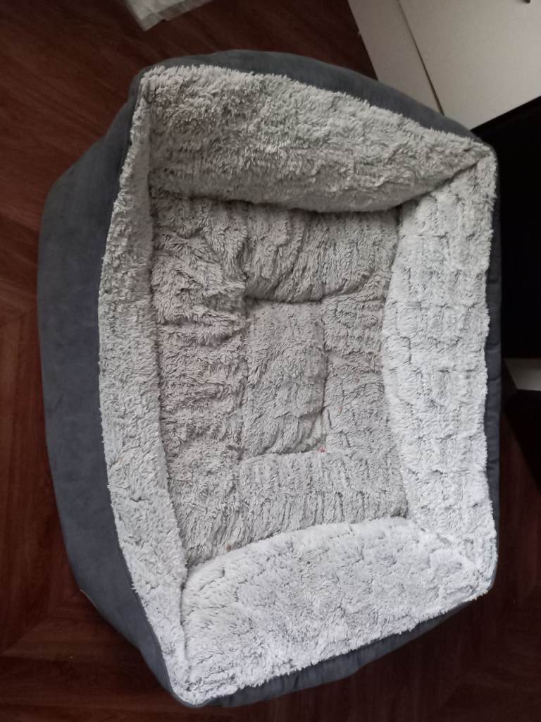 Large dog bed 