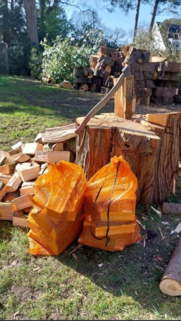 Seasoned softwood logs