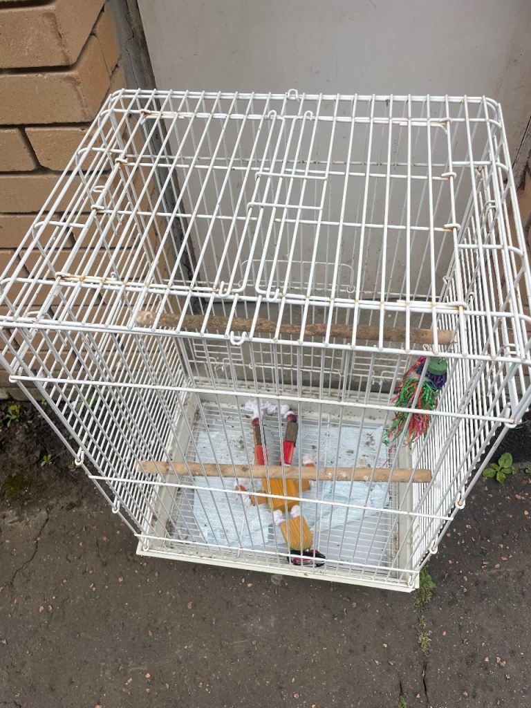 Bird cage 