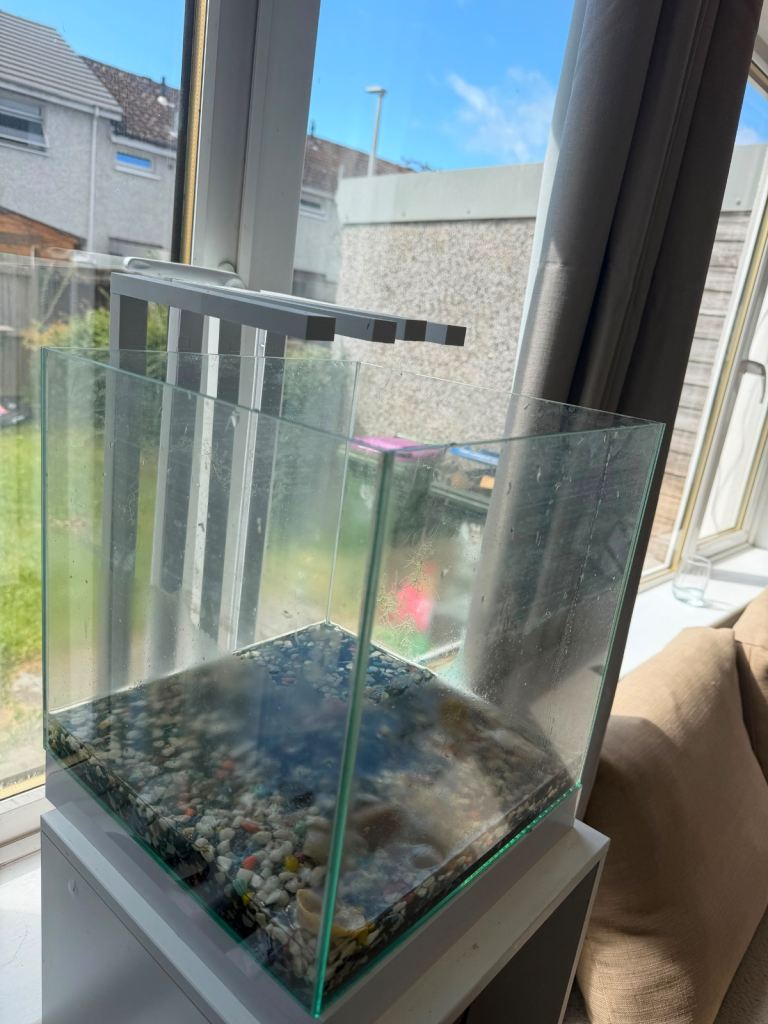 Small Glass Fish Tank with Light Bar & Gravel
