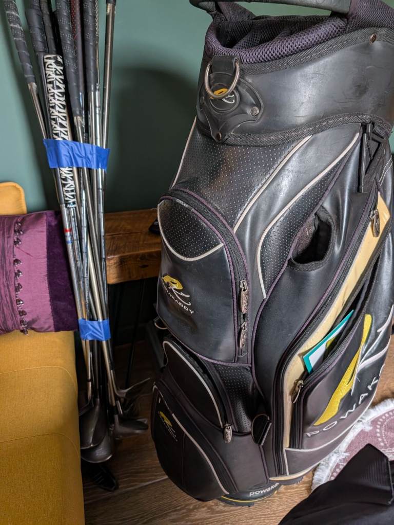Assorted mens golf clubs and a powacaddy bag 