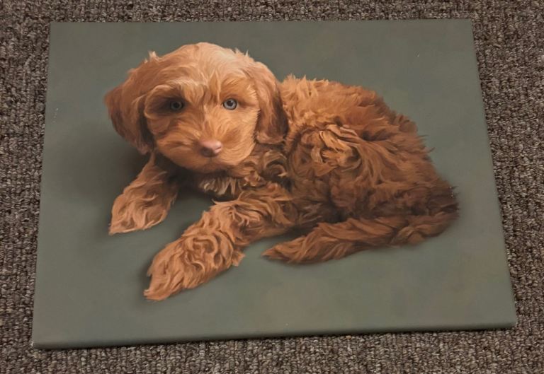 Nice Dog Photo Canvas Print – Good Condition