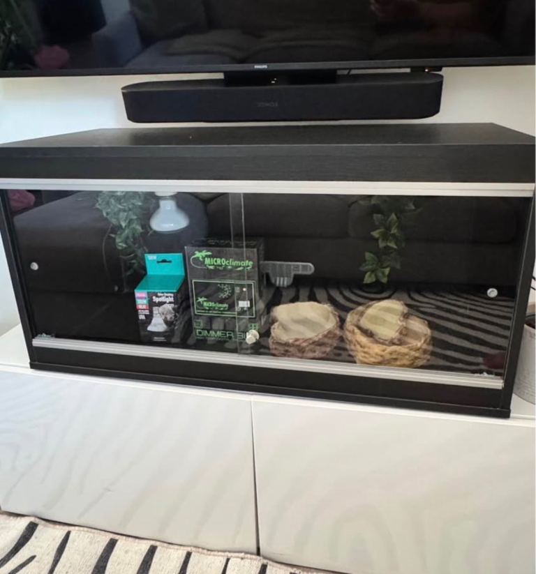 **3ft Rankins Dragon Vivarium – Fully Set Up & Ready to Go**