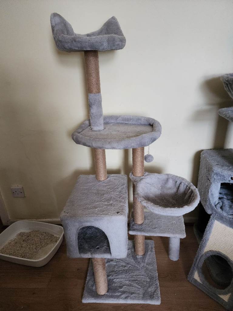 Tall cat tree