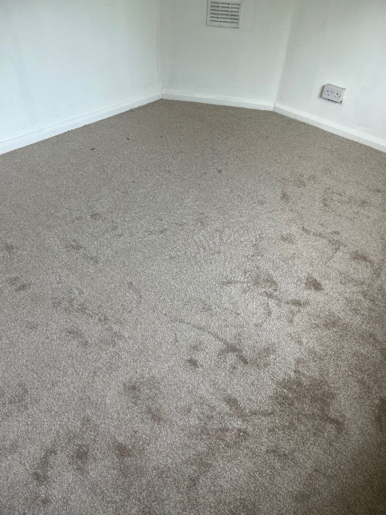 Professional Carpet Fitting Services Across London