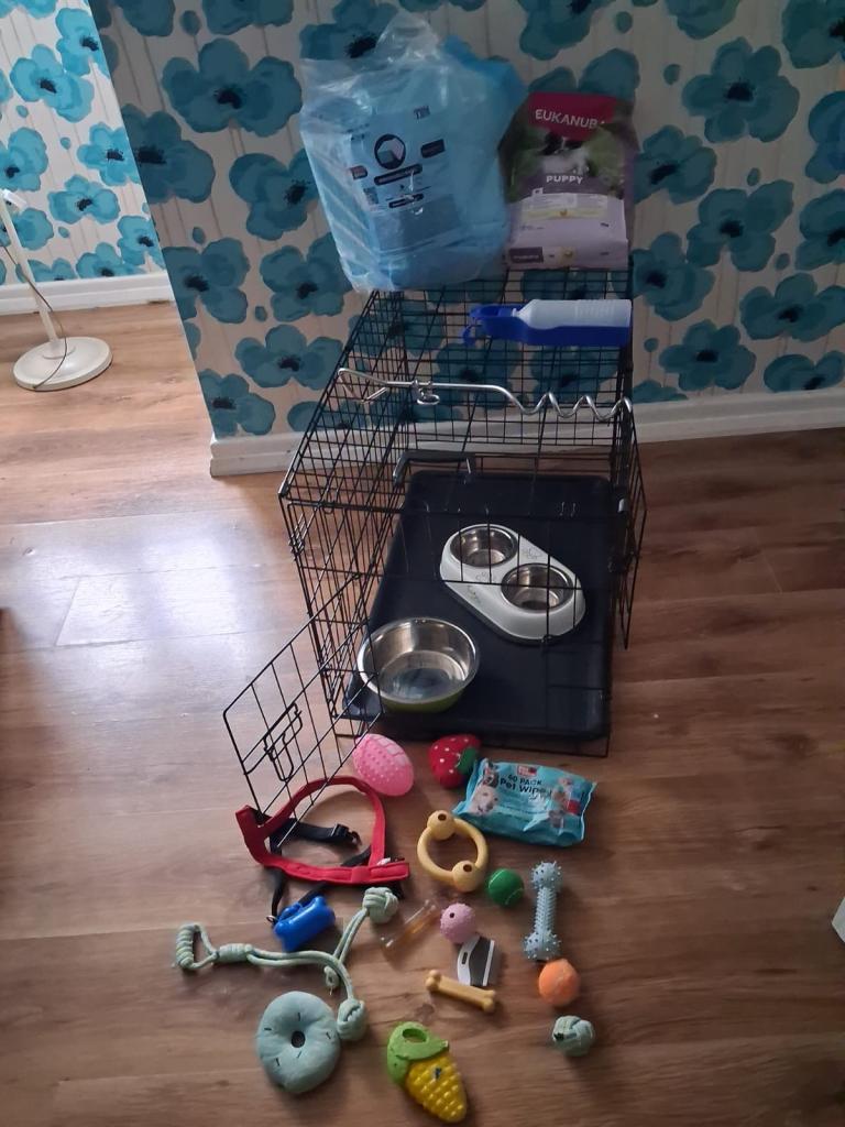 Dog crate with a few extras 