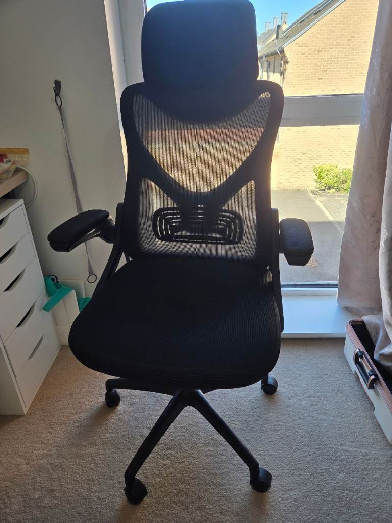 Office Chair - Ergonomic Desk Chair with Lumbar Support Headrest