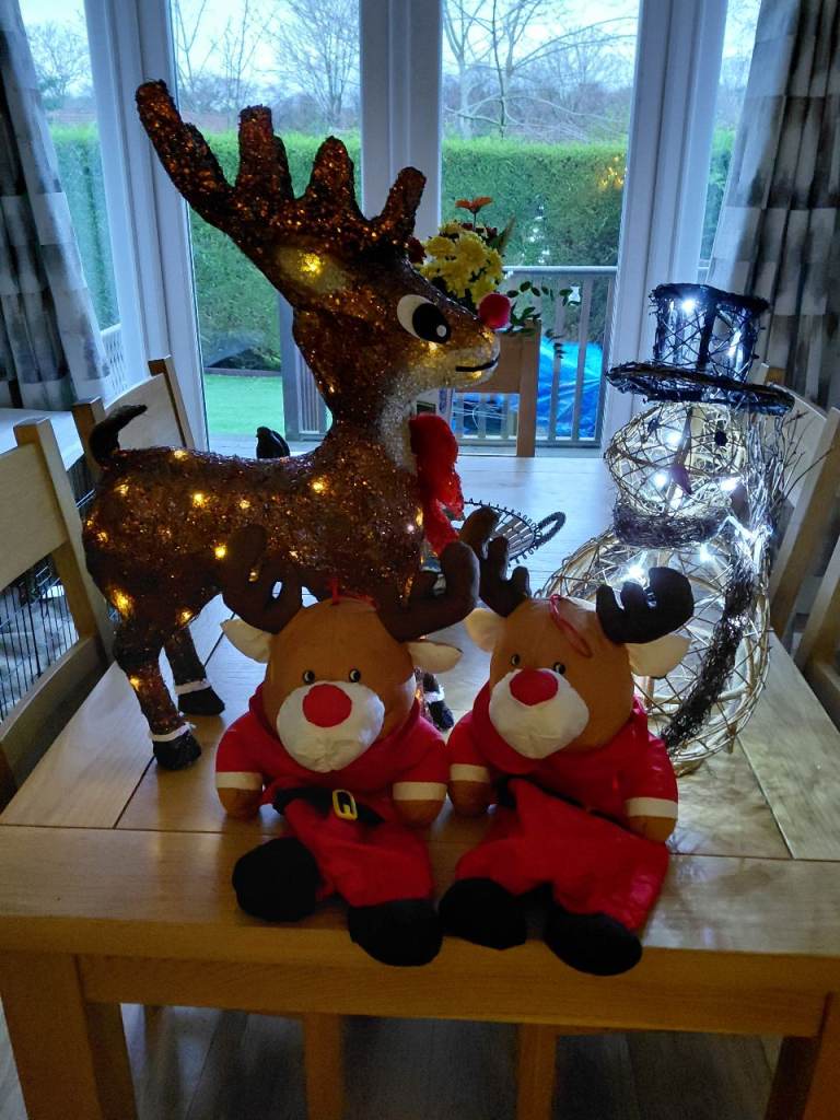 CHRISTMAS DECORATIONS JOB LOT £15