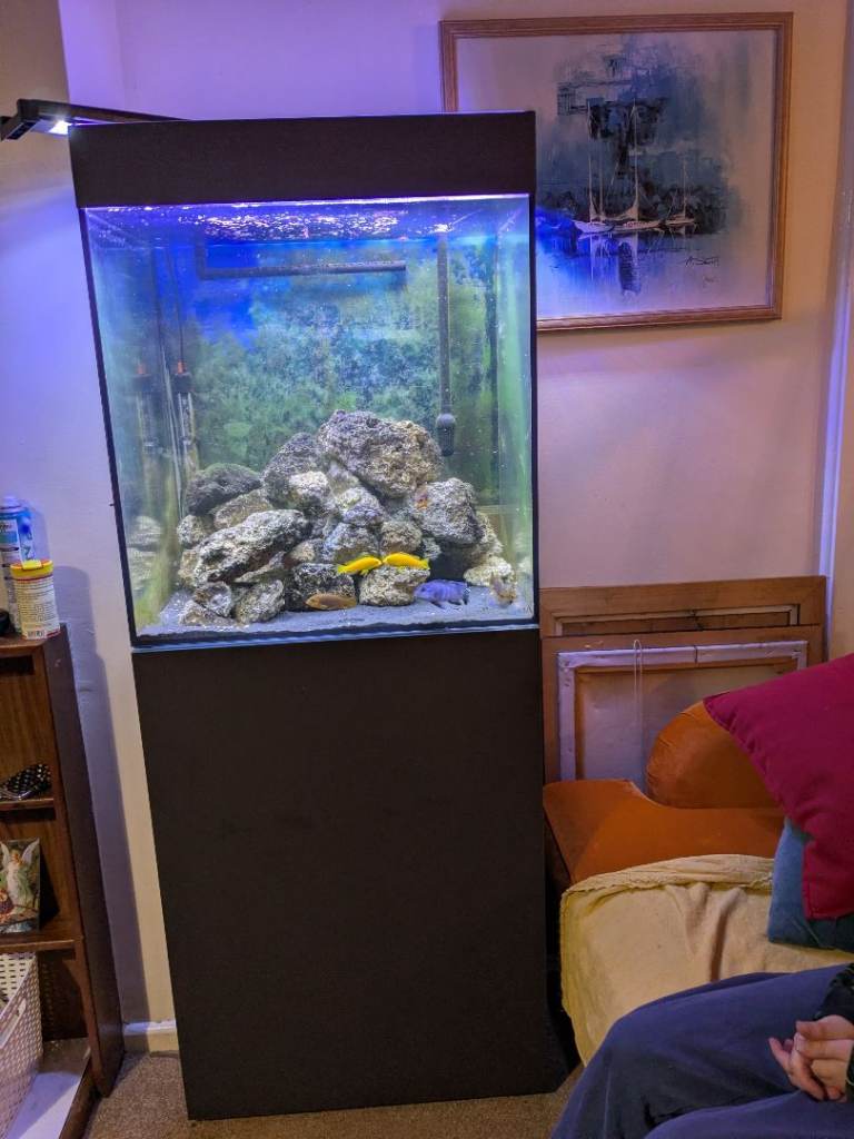 Fishtank whole set up