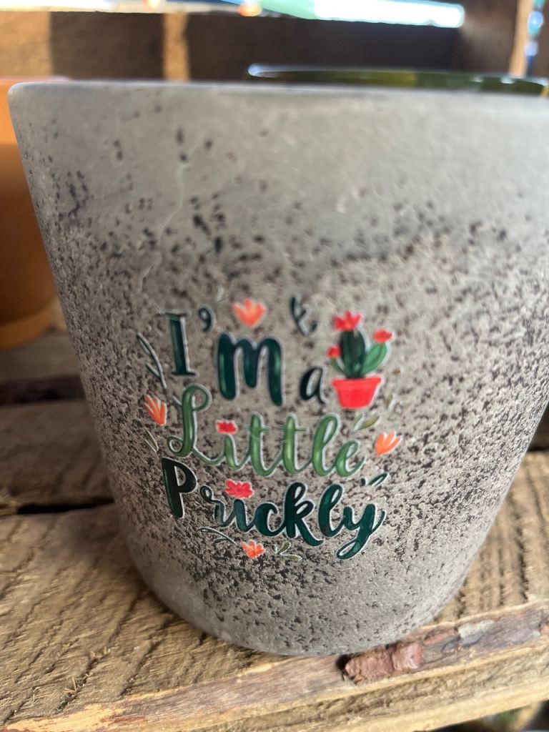 Plant pots 