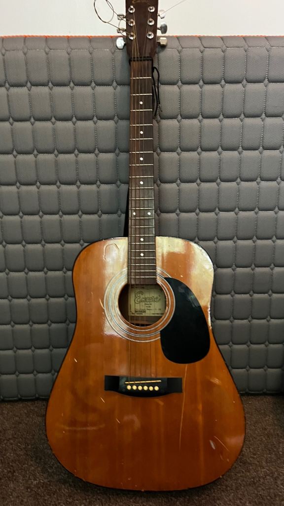 2 x acoustic guitars