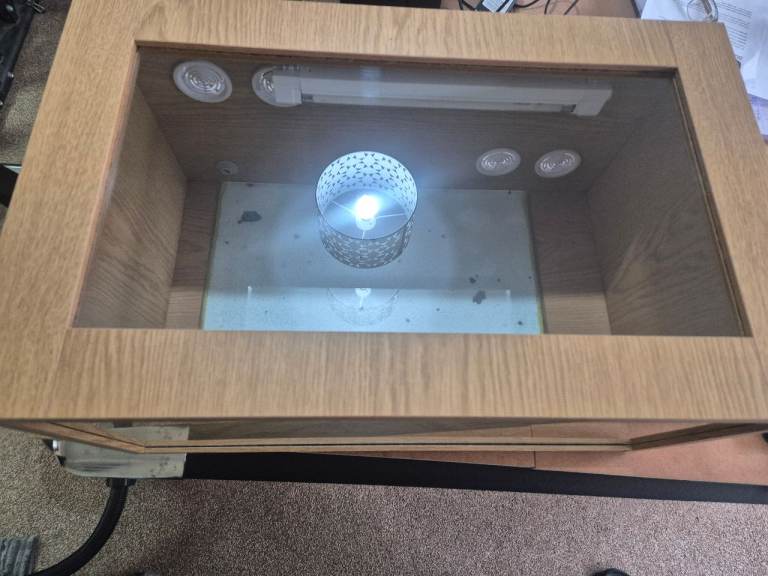 Reptile starter vivarium 