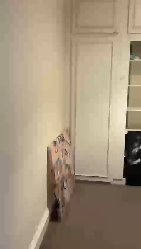 Spacious & Cosy double room for rent SW16 5UU