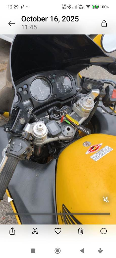 Honda CBR1100 Super Blackbird 