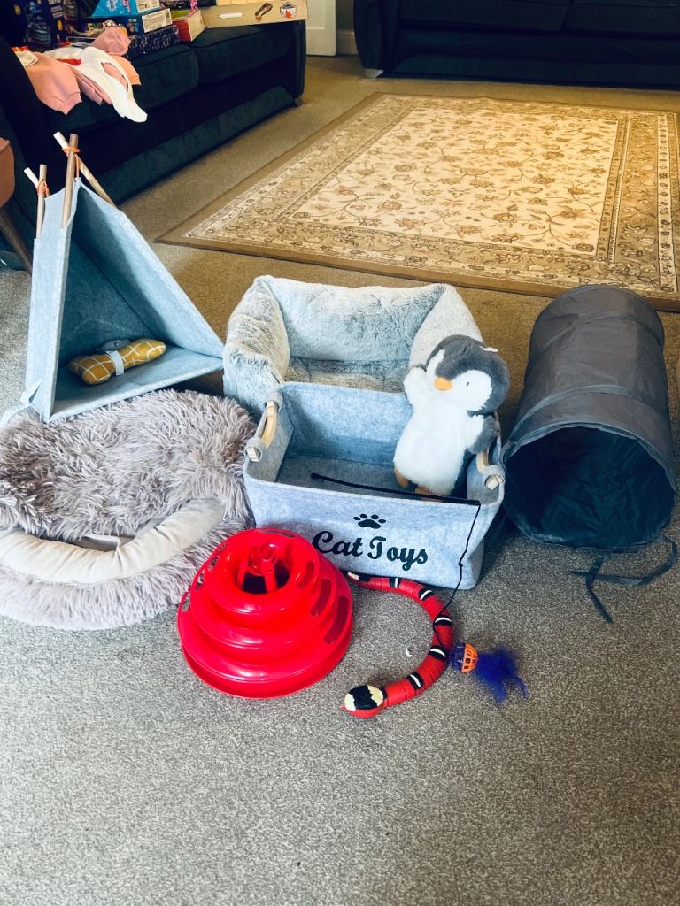Brand New Cat Bed & Toy Bundle – Beds, Tunnel, Tent & Electronic Toys