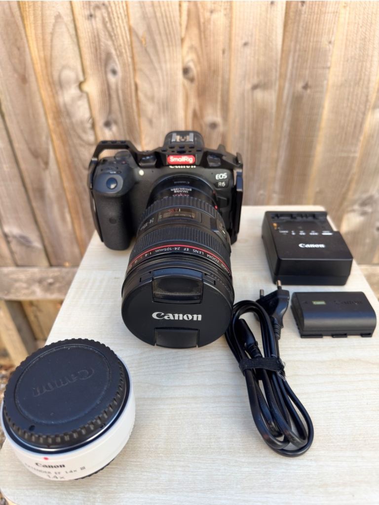 Canon EOS R6 Mirrorless Setup + EF-RF Adapter + 24-105mm f/4 L IS + SmallRig Cage & 2x Batteries