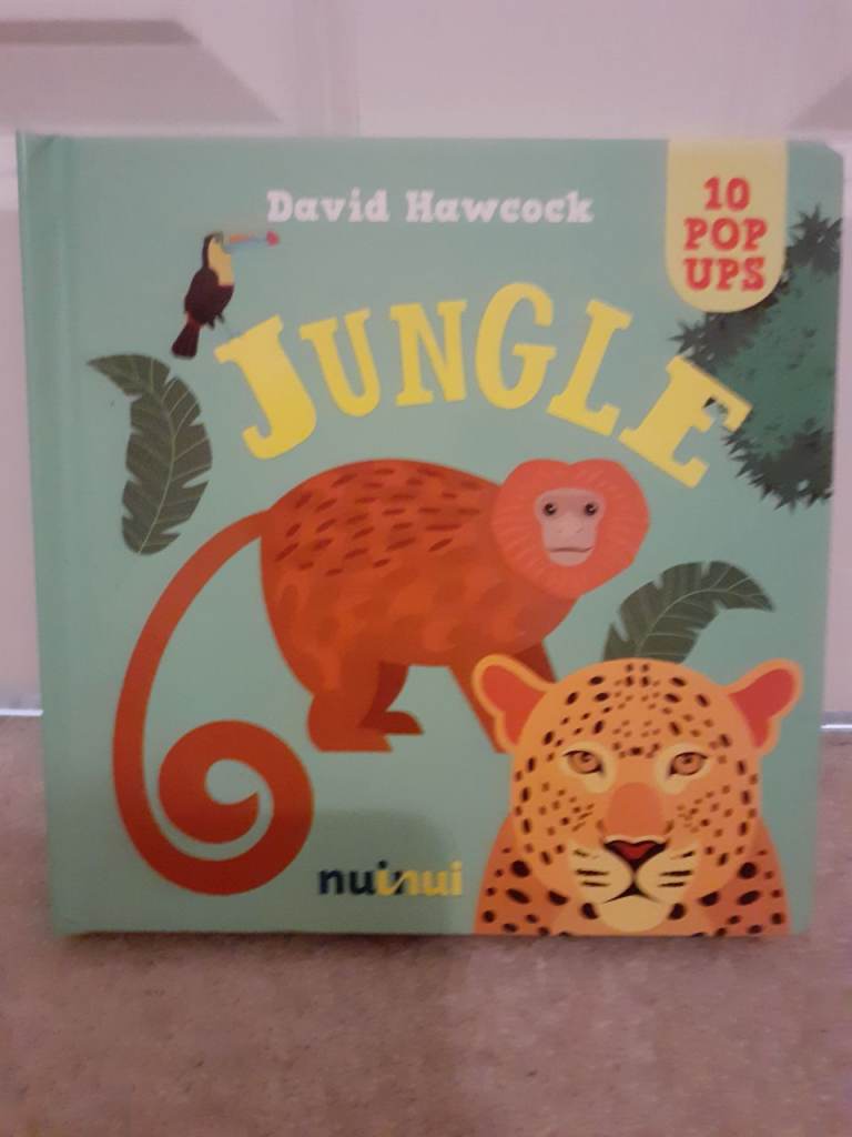 image for Jungle 10 Pop Ups Book Brand New