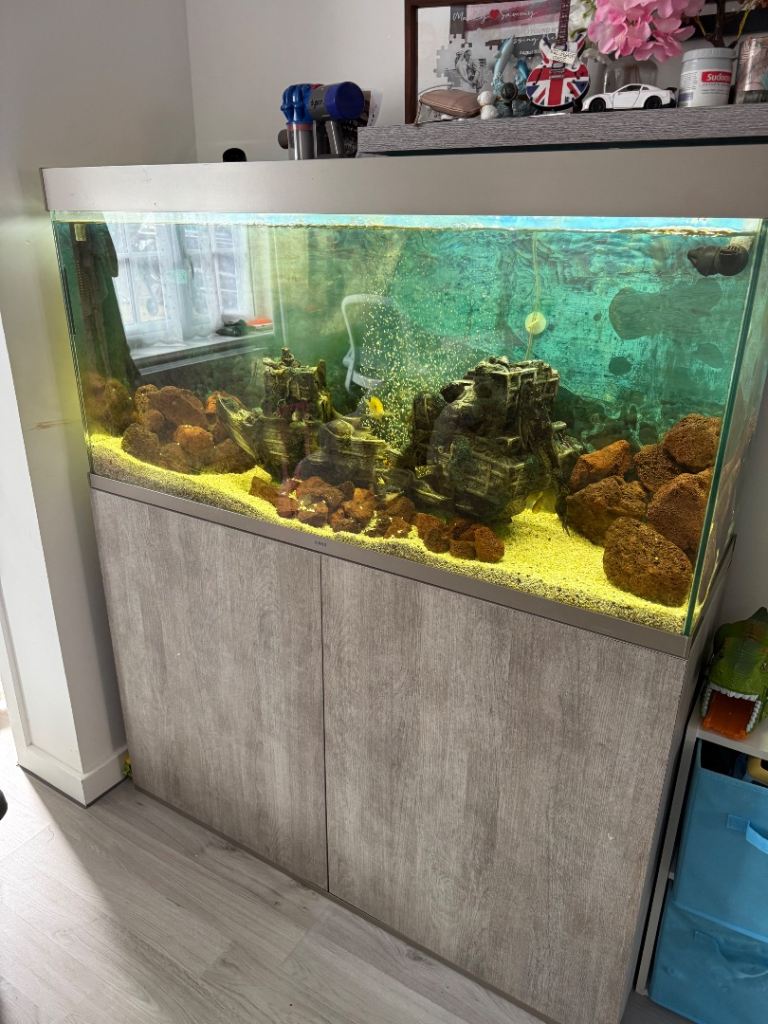 4ft fish tank 
