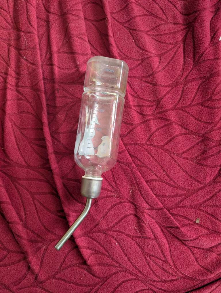 Glass Honey Hopper guinea pig or rabbit bottle