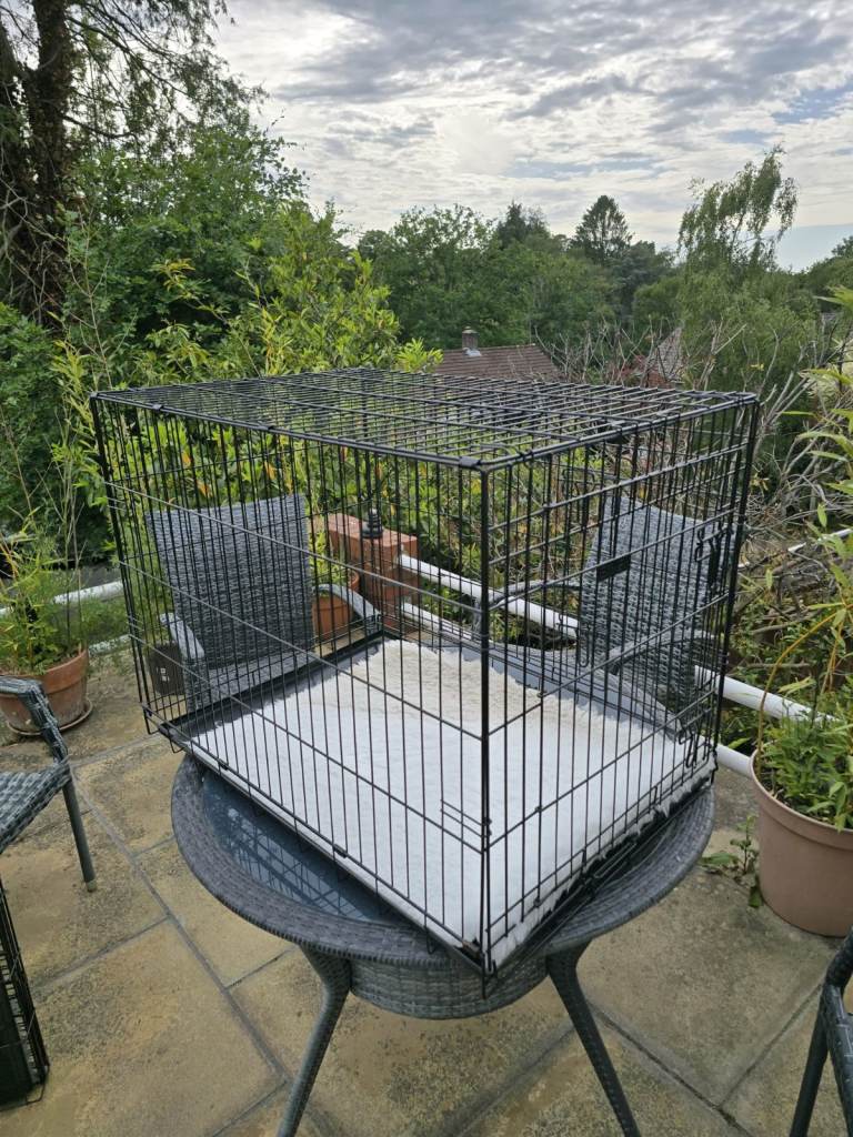 Medium Dog crate