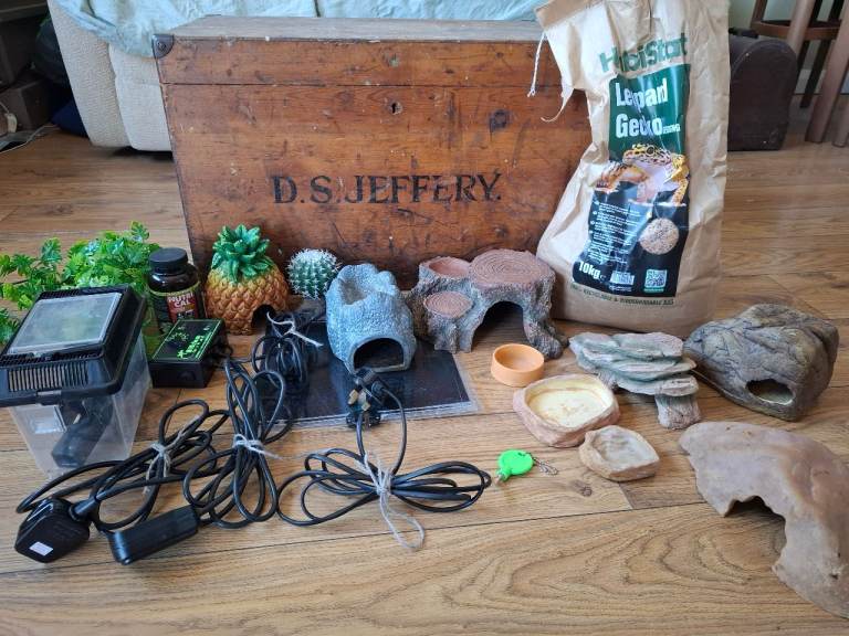Reptile vivarium set up