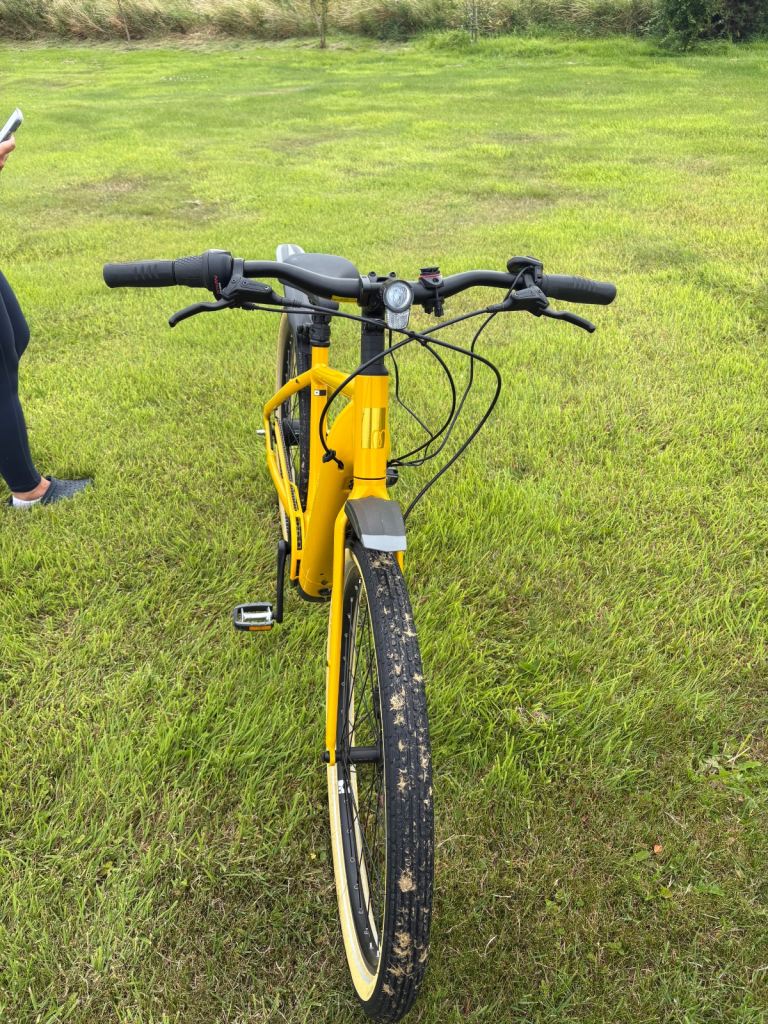 Momentum transcend e  e-bike.  2 available